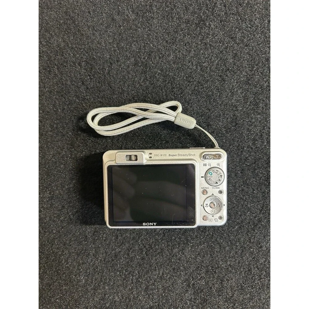 Sony Cybershot DSC-W170 10.1MP Digital Camera-Battery, Charger, Manuals Case B-5